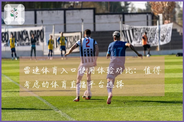 雷速体育入口使用体验对比：值得考虑的体育直播平台选择